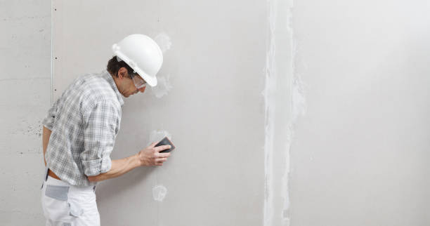 Best Emergency Mold Remediation  in Wellington, TX