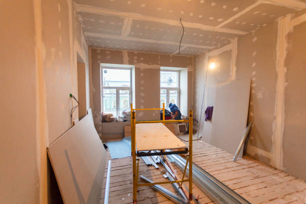 Biohazard Mold Removal in Wellington, TX